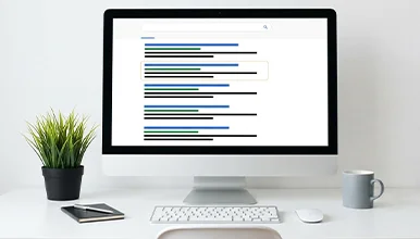 Search Advertising